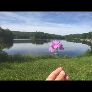 Meet your Posher, Lexie